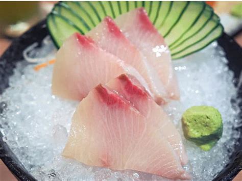 hamachi premium